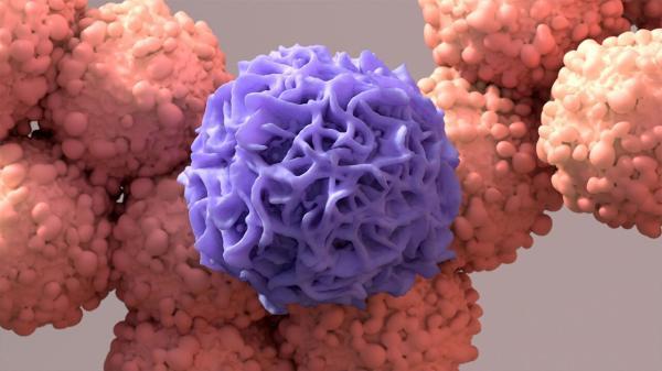 کارآزمایی روی واکسن RNAi برای مقابله با تومورهای صلب