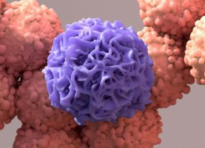کارآزمایی روی واکسن RNAi برای مقابله با تومورهای صلب