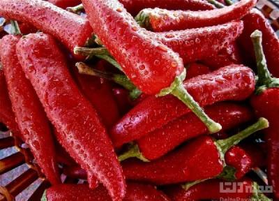 شگفت انگیزین خواص فلفل که نمی دانستید