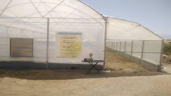 بهره برداری از گلخانه تولید نشاء گیاهان دارویی در شهرستان اردل